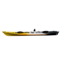 RTM Abaco 4.20 Wasp Profil Big Bang